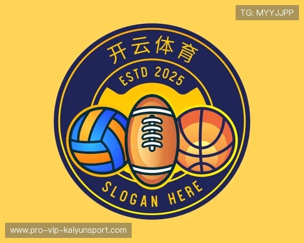 介绍开云全站网站